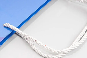 twisted polypropylene handles for custom bags