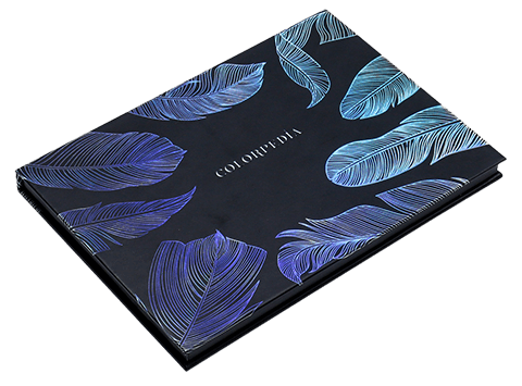 Thin Hologram Flap Box