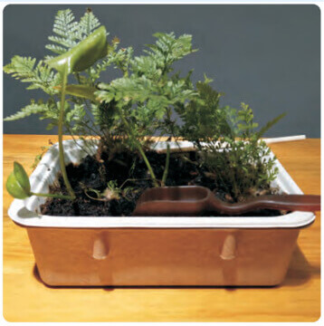 cmic packaging ecobox degradation testing 1