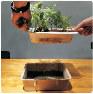 cmic packaging ecobox degradation testing 2