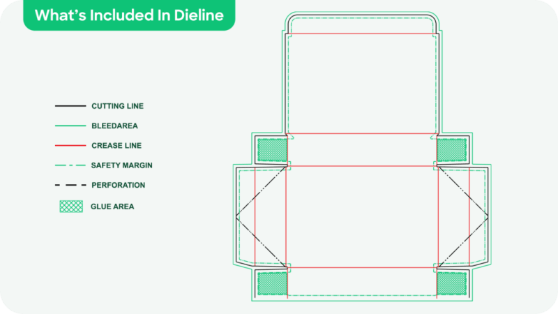 packaging dieline cutting fold lines blueprint
