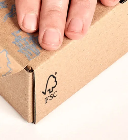FSC certified eco-friendly cardboard packaging sustainable