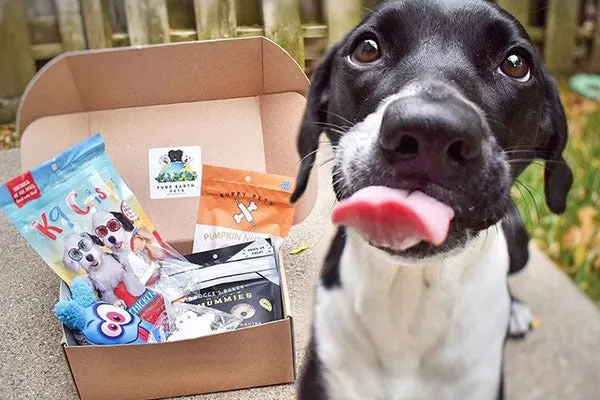 eco friendly dog subscription box unboxing