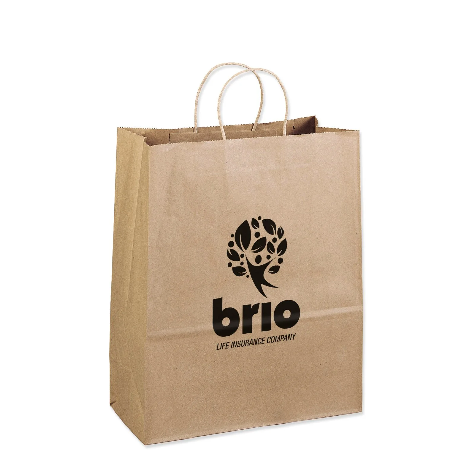 eco friendly recyclable paper bags sustainable materials