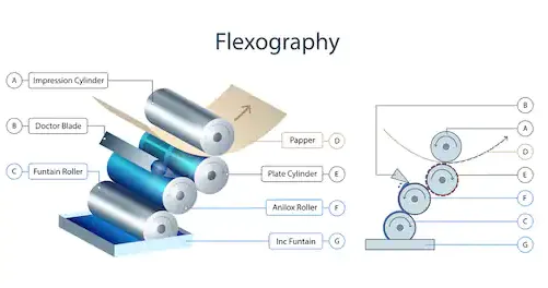 flexographic printing plate ink distribution process