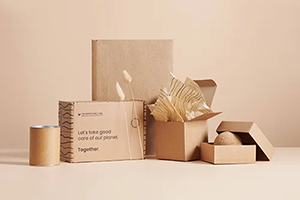 Eco Friendly Boxes gzp9l8x300