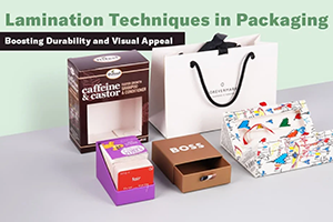 Examples of Laminated Packaging with Various Finishes jomsvmx300