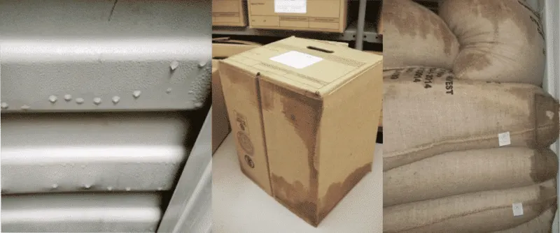 carton packaging limitations moisture damage cost