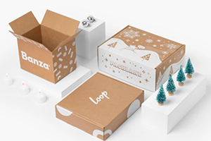 early seasonal packaging planning prototype testingx300