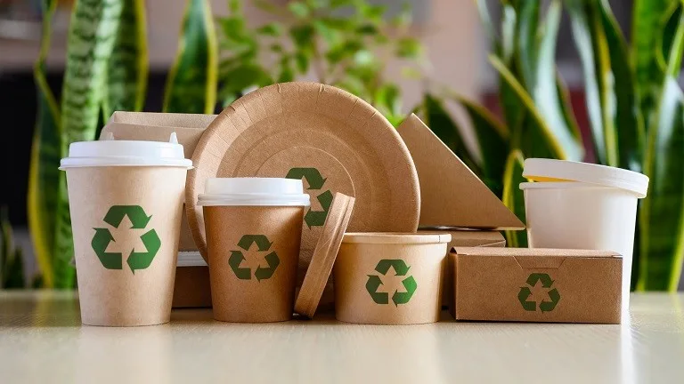 eco-friendly packaging sustainability brand image savings