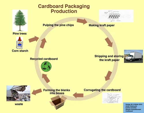 sustainable carton box manufacturing process eco packaging