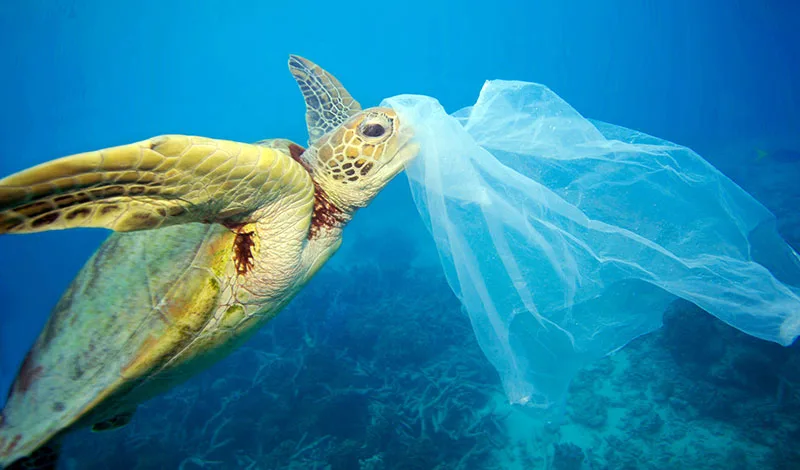 unpacking-plastic-waste
