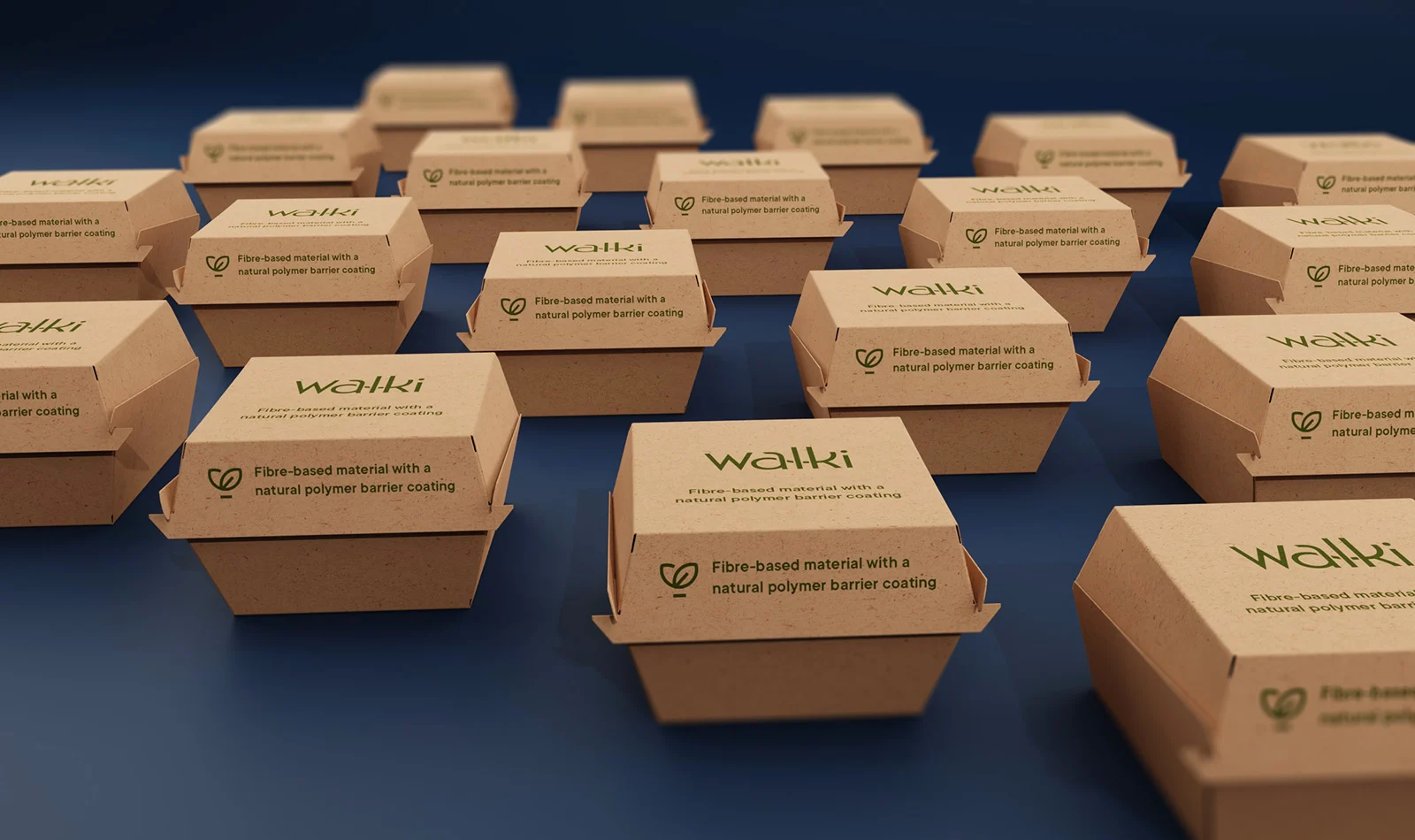 biodegradable coating on sustainable packaging eco friendly