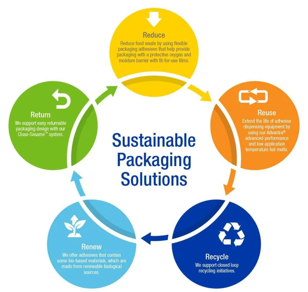 eco-friendly packaging sustainable supply chain profit growth