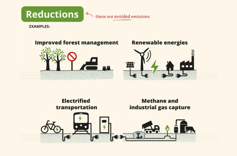 critical look at carbon offsets and greenwashing