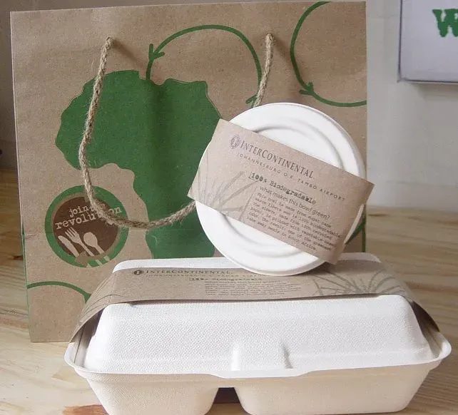 eco-friendly packaging made from mycelium bamboo bagasse