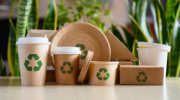 eco friendly paper packaging as sustainable alternative replacing plastic