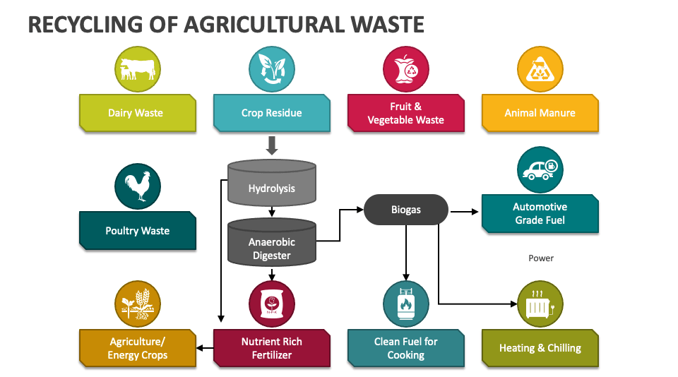 plastic pollution and agricultural waste challenge in packaging industry