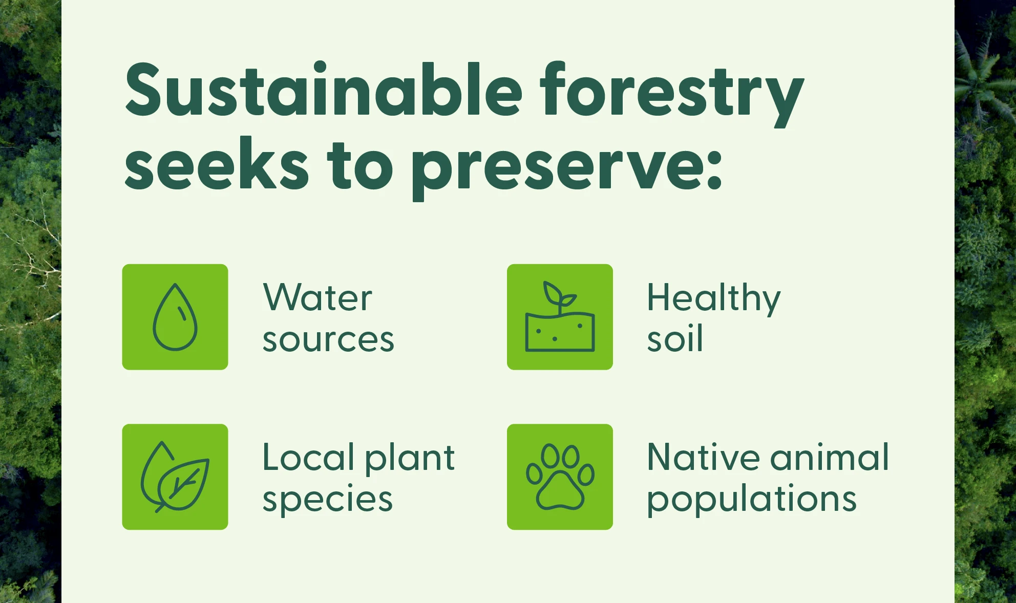 deforestation sustainable forestry paper production environmental impact
