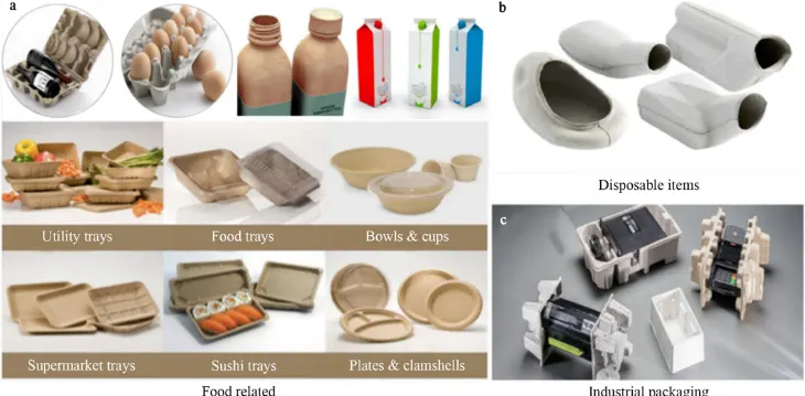 dry molded fibre sustainable packaging innovative eco-friendly process