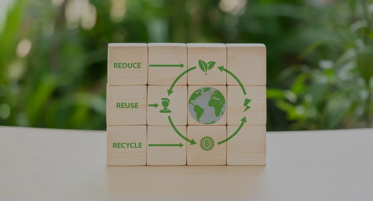sustainable packaging solutions lifecycle eco-friendly collaboration recycled
