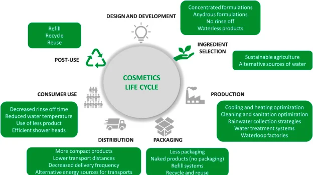 sustainable packaging solutions lifecycle eco-friendly collaboration recycled