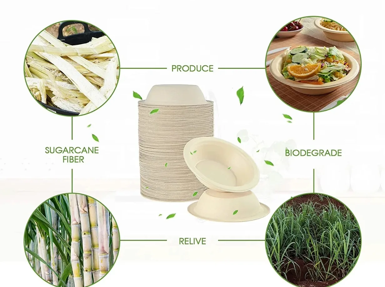 agricultural waste recycled into eco-friendly biodegradable packaging