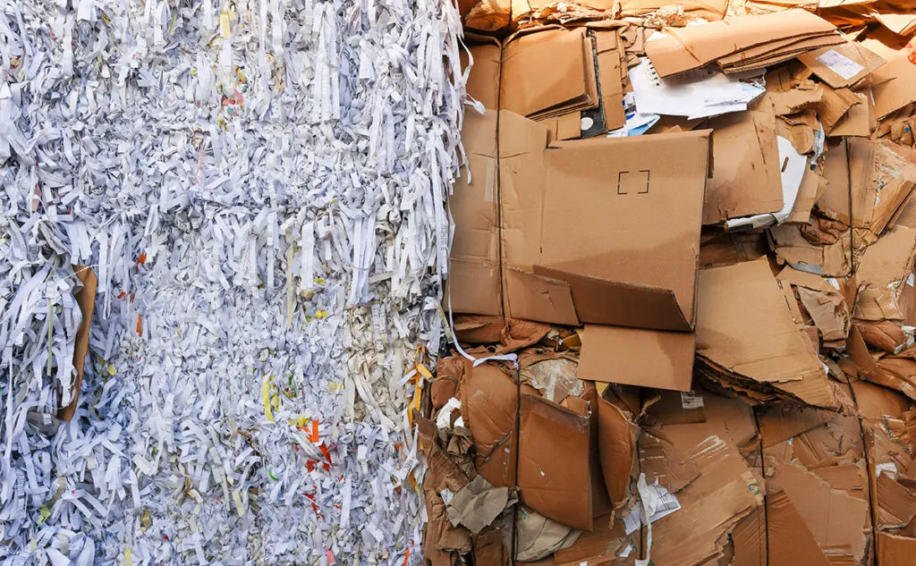 biodegradable kraft paper compost shredded natural eco friendly