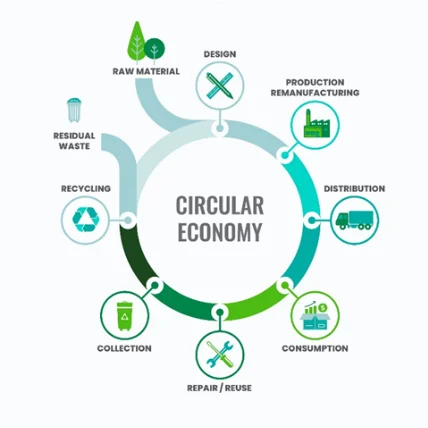 circular economy closed-loop packaging recycling collaboration