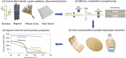 dry molded fibre sustainable packaging innovative eco-friendly process