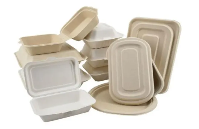eco-friendly packaging made from mycelium bamboo bagasse