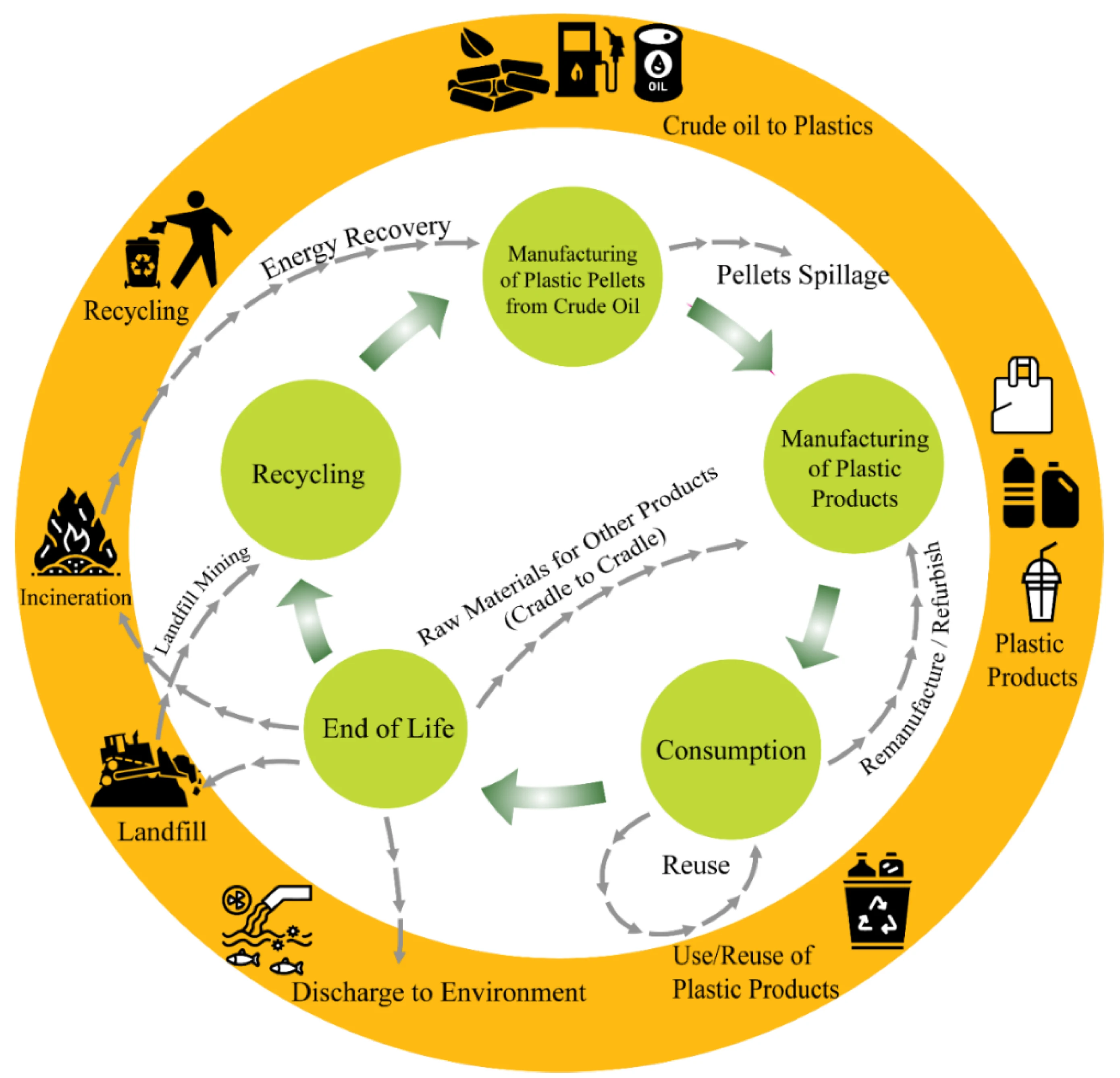 government focus on sustainable packaging and environmental responsibility