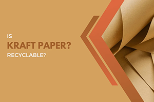 kraft paper recyclable m8a96b