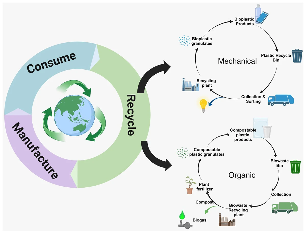 packaging lifecycle environmental impact waste recycling sustainability