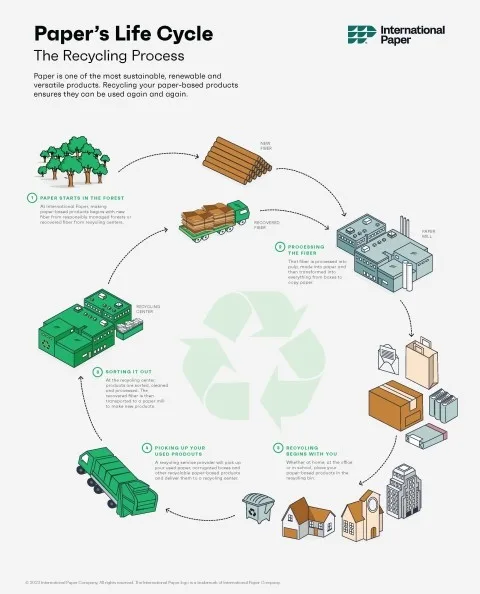 paper recycling lifecycle showing stages from writing paper to packaging and egg cartons