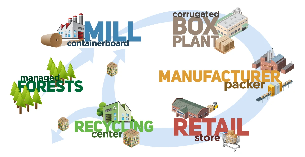 sustainable packaging material assessment, life cycle analysis of boxes