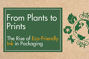 1740720162472 qs2juq