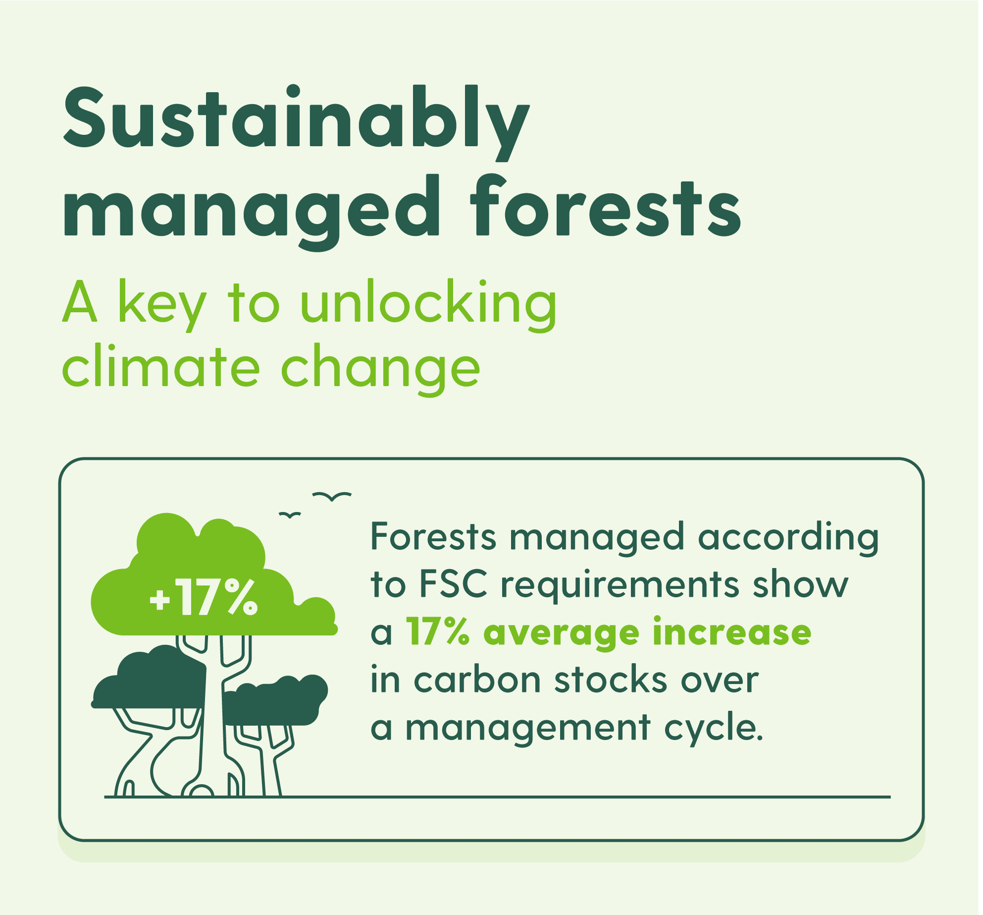 FSC certified forest acting as carbon sink and healthy ecosystem