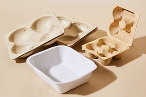 1 PlantSea cartons pic bq0o82