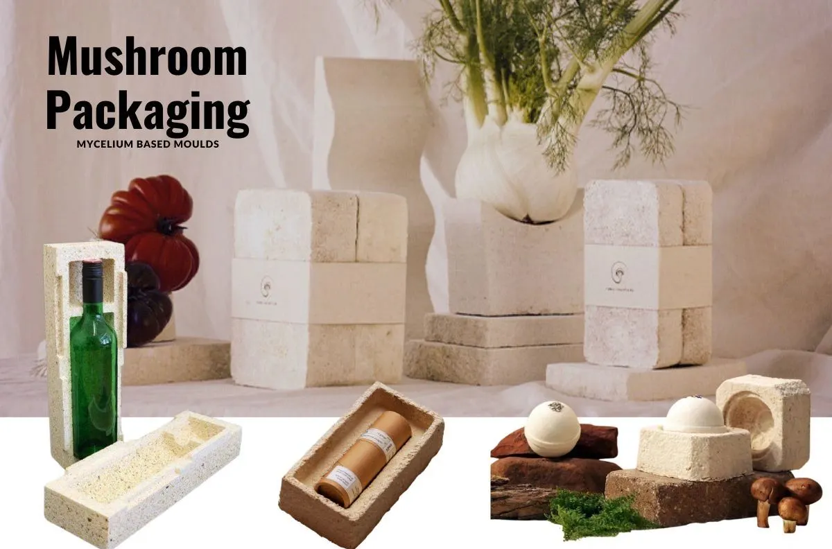 sustainable packaging eco friendly materials recycled boxes green design