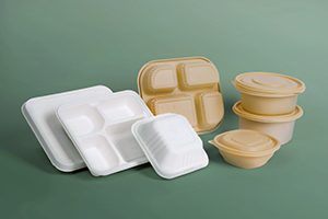 2023 07 cornstarch food packaging 3 njsfjt