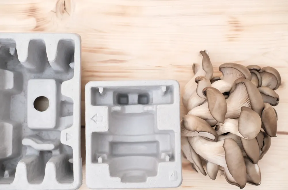 eco-friendly packaging alternatives biodegradable materials innovation