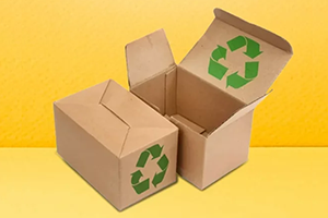 Custom Eco Friendly Box Packaging 600x600 itsspu