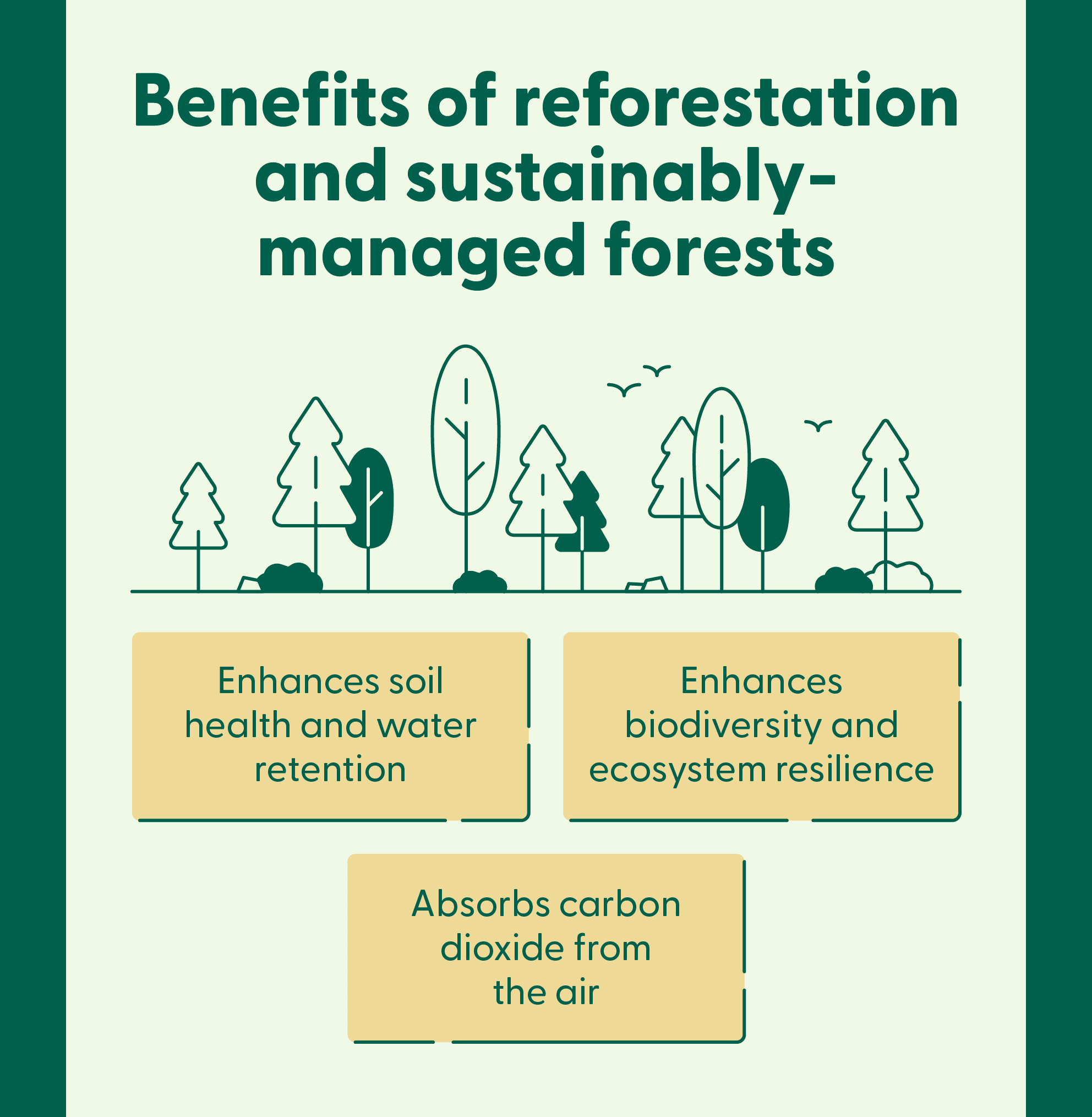 FSC certified forest acting as carbon sink and healthy ecosystem