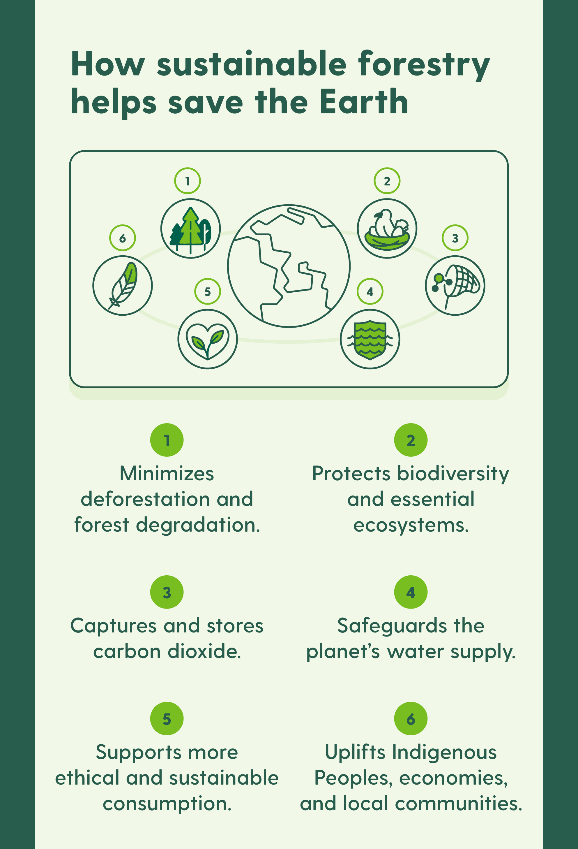 FSC certified forest, sustainable forestry, eco-friendly wood products, responsible sourcing, supply chain transparency