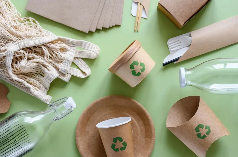 business using sustainable waste fiber packaging for eco-friendly supply chain