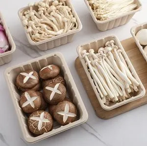 eco-friendly packaging alternatives biodegradable materials innovation