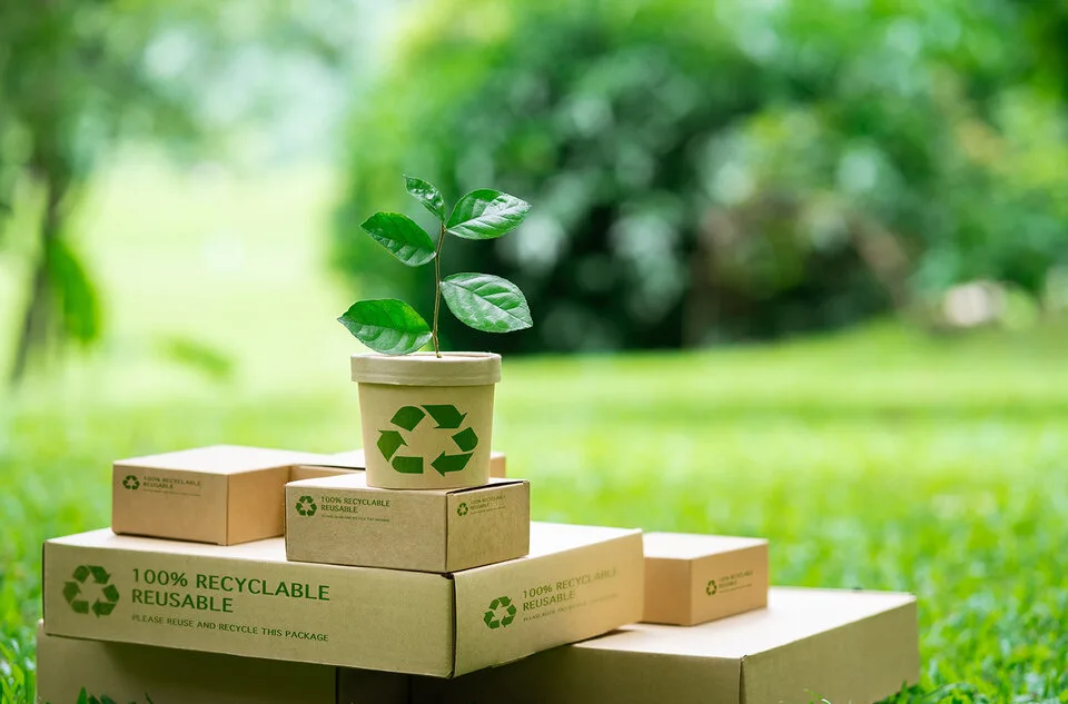 innovative packaging efficiency automation sustainability recyclable materials