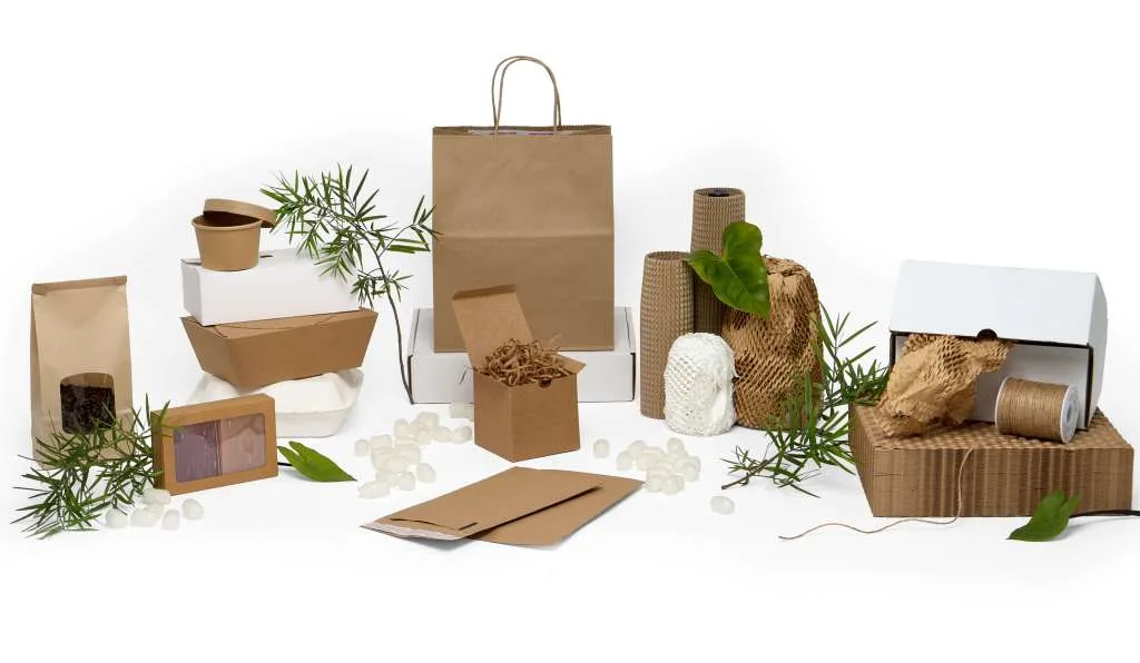 innovative sustainable paper packaging eco-friendly design