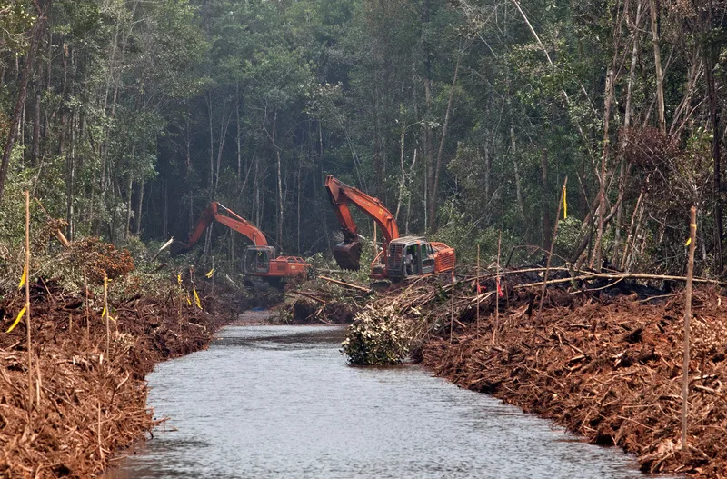 paper packaging sustainability, environmental impact, deforestation, recycling, compostable waste, eco-friendly materials